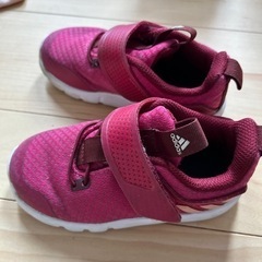靴/バッグ 靴 スニーカーの画像