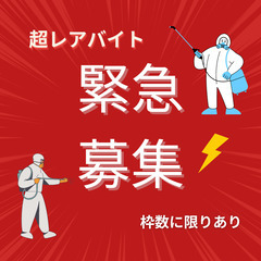 【夜勤可！/日給13000円】消毒作業スタッフ　の画像