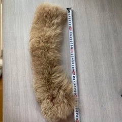 服/ファッション 毛皮 レディースの画像