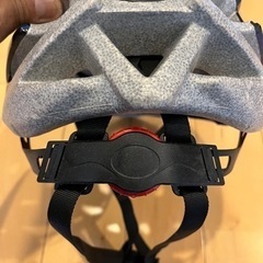 スポーツ マリンスポーツの画像