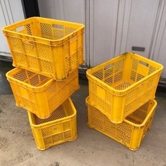 収穫用　採集　コンテナ　5個セットの画像