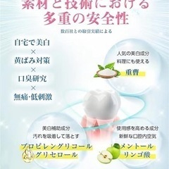 【日本企業出品】 ホワイトニングペン 歯 ホワイトニングジェル 美歯 パック ホーム 歯を白くする マウスピース ジェル 歯の黄ばみを落とし 2本入りの画像