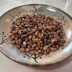 生活雑貨 家庭用品 ガーデニング