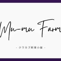 クワカブ趣味仲間募集‼️