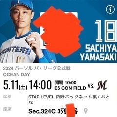 5月11日チケット