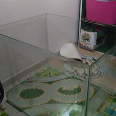 KOTOBUKI　ガラス水槽の画像