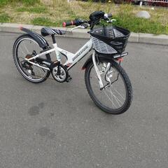 品数豊富！ 宮城県の22インチ 自転車 自転車の中古が安い！激安で譲ります 自転車本体