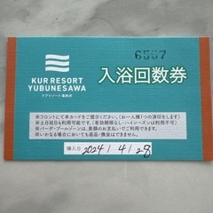 クアリゾート湯舟沢　入浴回数券　11回分