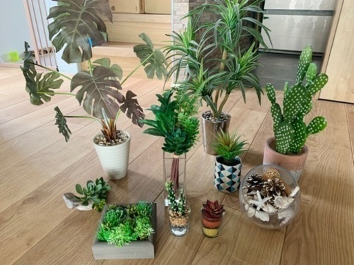 雑貨 ハワイ　絵　観葉植物