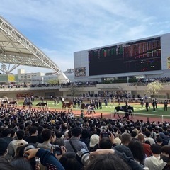 一緒に競馬見に行きませんか