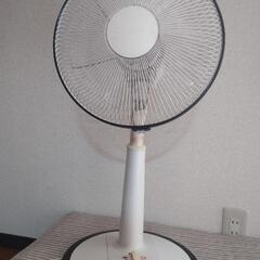 リビング扇風機