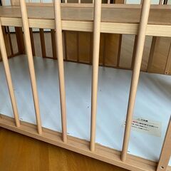 ベビーベットの画像