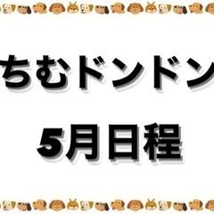 5月ちむドンドン個サル日程