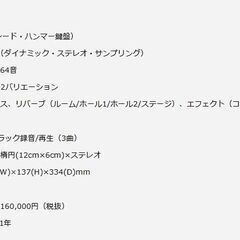 YAMAHA　Electricpiano　P-120の画像