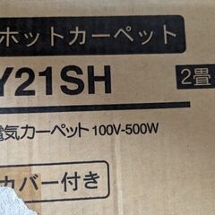 電気カーペット（たぶん未使用）の画像
