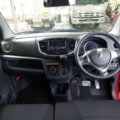 お安く出しますスティングレー✨の画像