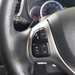 お安く出しますスティングレー✨の画像