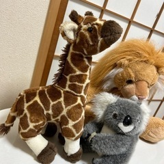 ぬいぐるみ　ライオン　キリン　コアラの画像
