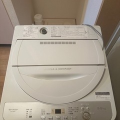 家電 生活家電 洗濯機