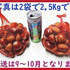②🌰🌰🌰クリとの物々交換🌰🌰🌰販売も応談、気長に待ちます