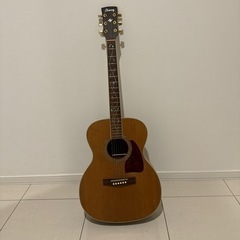 アイバニーズHanesアコースティックギター