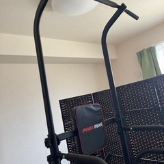 ぶら下がり健康器 懸垂器 PYKES PEAK (パイクスピーク) 