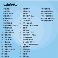 🌷ஐ೨🌸はるいろめだか🌸ஐ೨🌷メダカフェスin吉田2024🌸メダカの教科書賞🏅月神🐟ALL1000円🉐の画像