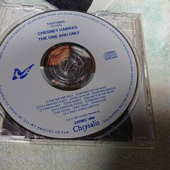 ❄　チェズニー・ホークス / ザ・ワン・アンド・オンリー　The One And Only Chesney Hawkesの画像