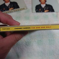 ❄　チェズニー・ホークス / ザ・ワン・アンド・オンリー　The One And Only Chesney Hawkesの画像