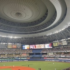 野球　ラプソード計測　募集