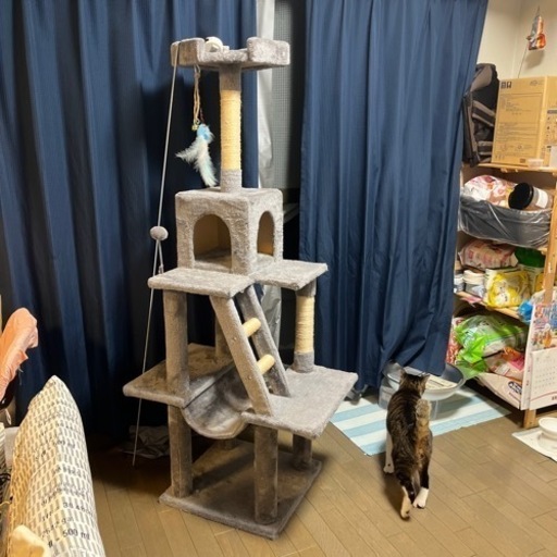 猫　　キャットタワー　おもちゃ