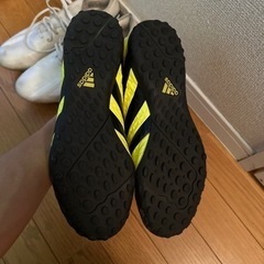 スポーツ テニスの画像