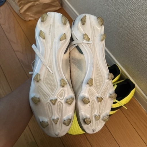 スポーツ テニス