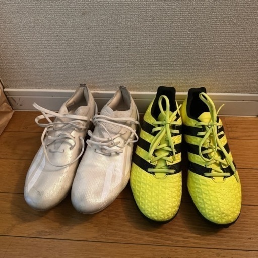 スポーツ テニス