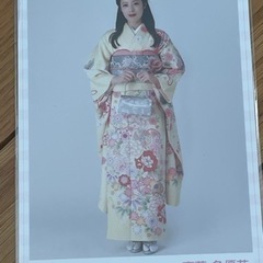 櫻坂46 ランダム生写真 2023年 振袖衣装 4種コンプ 齋藤冬優花の画像
