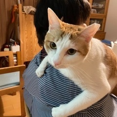 あま〜いハニーちゃん💓トライアルに❣️