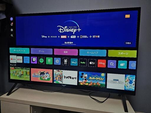 LG 48インチ OLED TV OLED48A2PJA