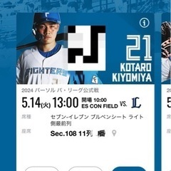 日ハム観戦チケット エスコンフィールド ブルペンシート最前列 ペアの画像