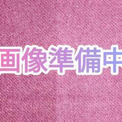 箏(※条件有り)の画像
