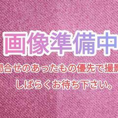 箏(※条件有り)の画像