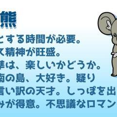 集まれ！動物占いコアラたち🐨の画像