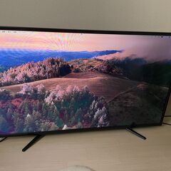 VIZMARK 50インチ 液晶テレビ (LEDDTV5031B...