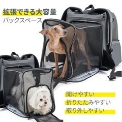 【新品】小型ペット用キャリーバックパック
の画像