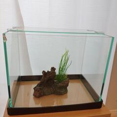 水槽　サイズ横30ｘ奥20ｘ高さ25