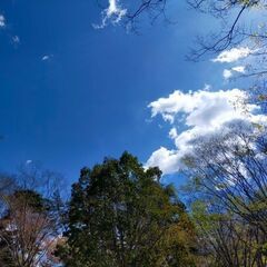 8/18.19超妄想的（笑）😜⛺🏍️最強ぼっちキャンプやります！in  岩倉ファームキャンプ場 - メンバー募集