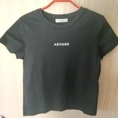 beaute de opaque　半袖Tシャツ　黒