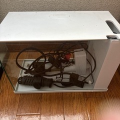 ラクテリア水槽