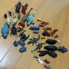 タカラトミーおもちゃの画像