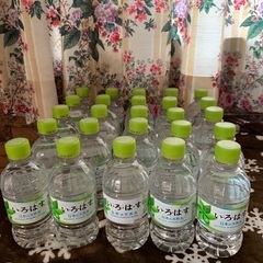 オマケつき、天然水　いろはす340ml　ペットボトルほうじ茶、緑茶
