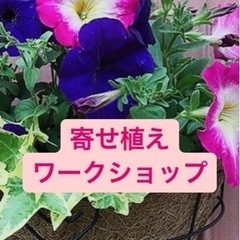 季節の花の寄せ植えワークショップinふれあいフェスタ2024